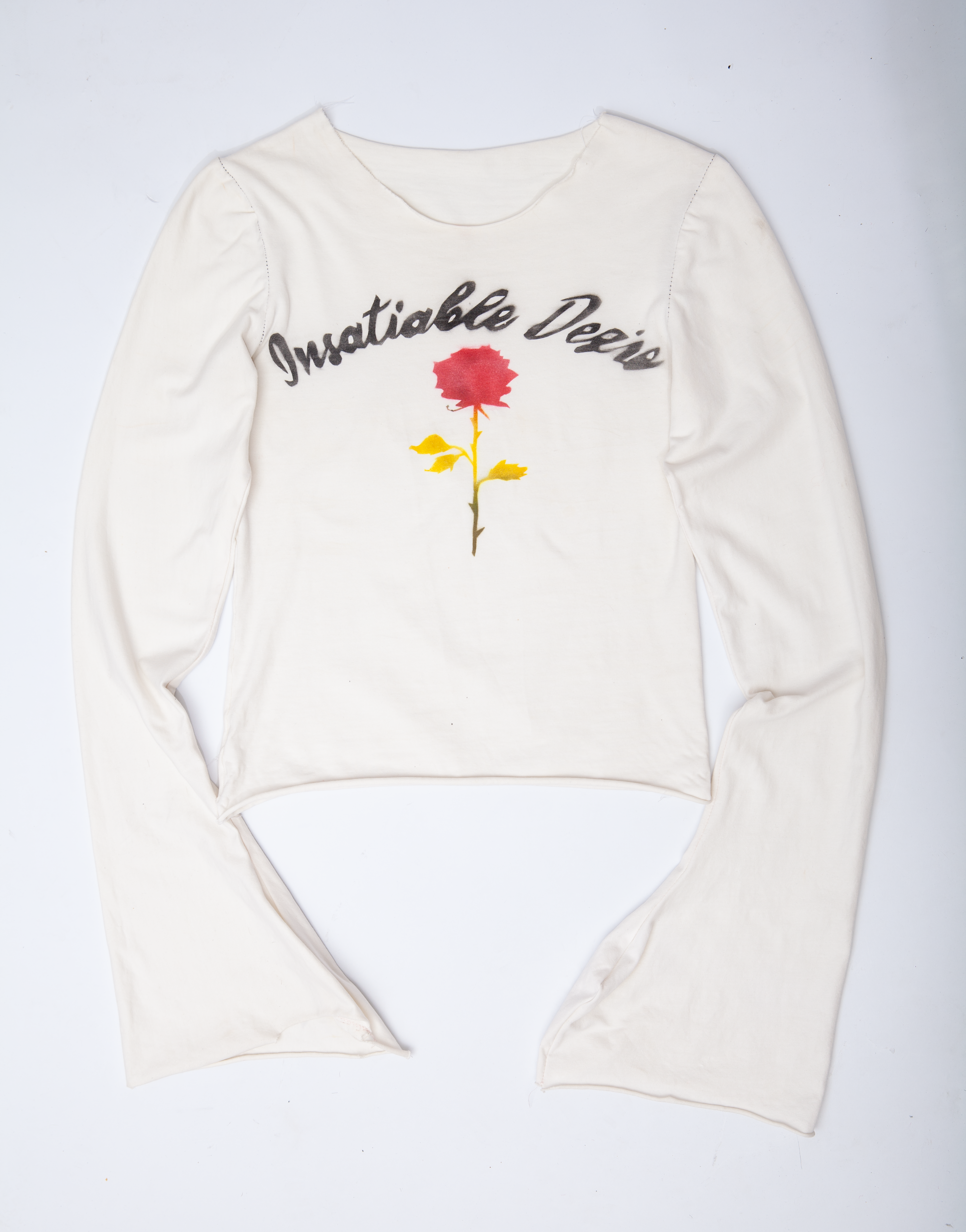 Insatiable Desire Long Sleeve Graphic Top