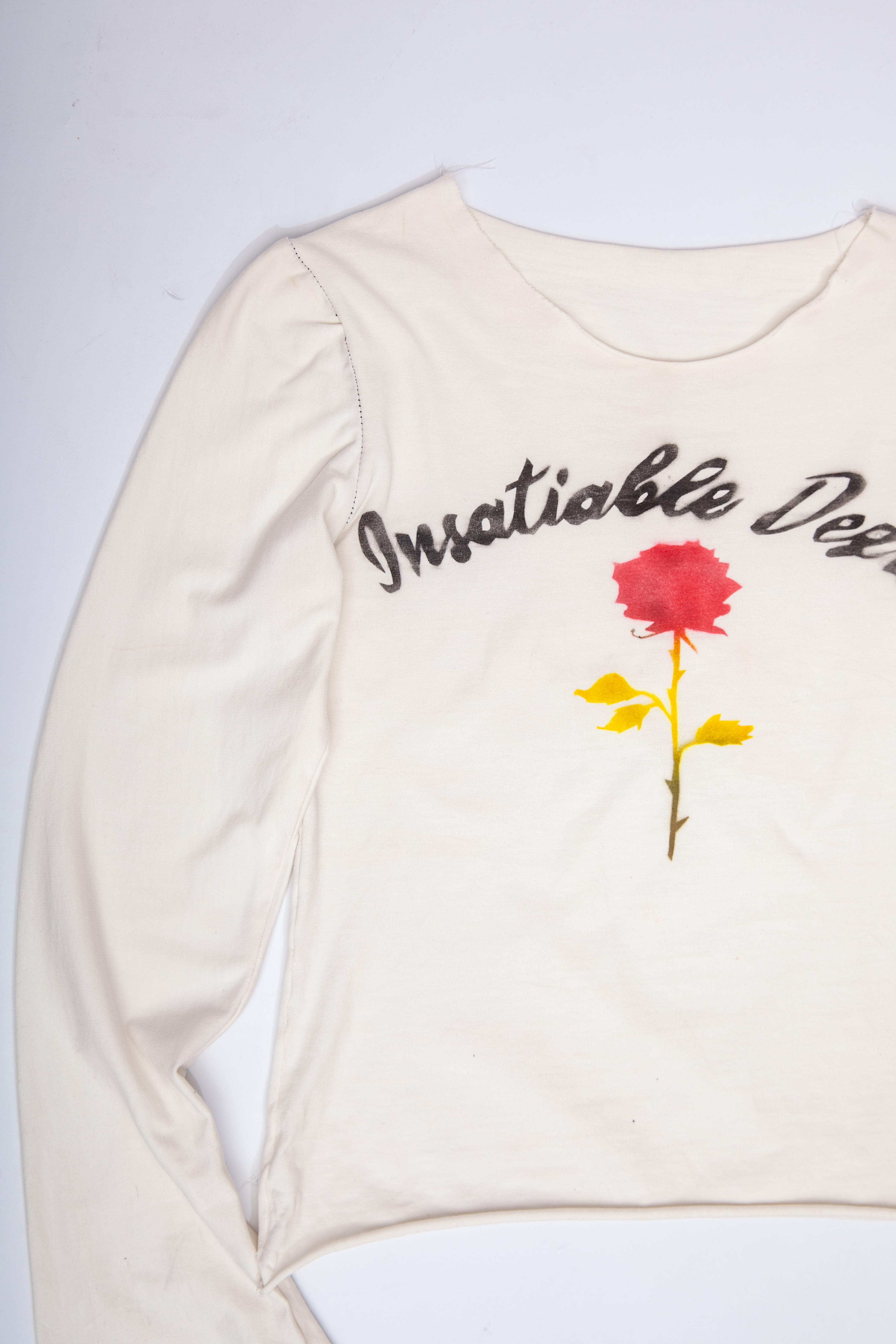 Insatiable Desire Long Sleeve Graphic Top
